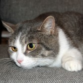 Samantha 